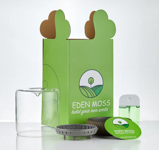 Moss Bottle-Micro-landscape Ecological Bottle