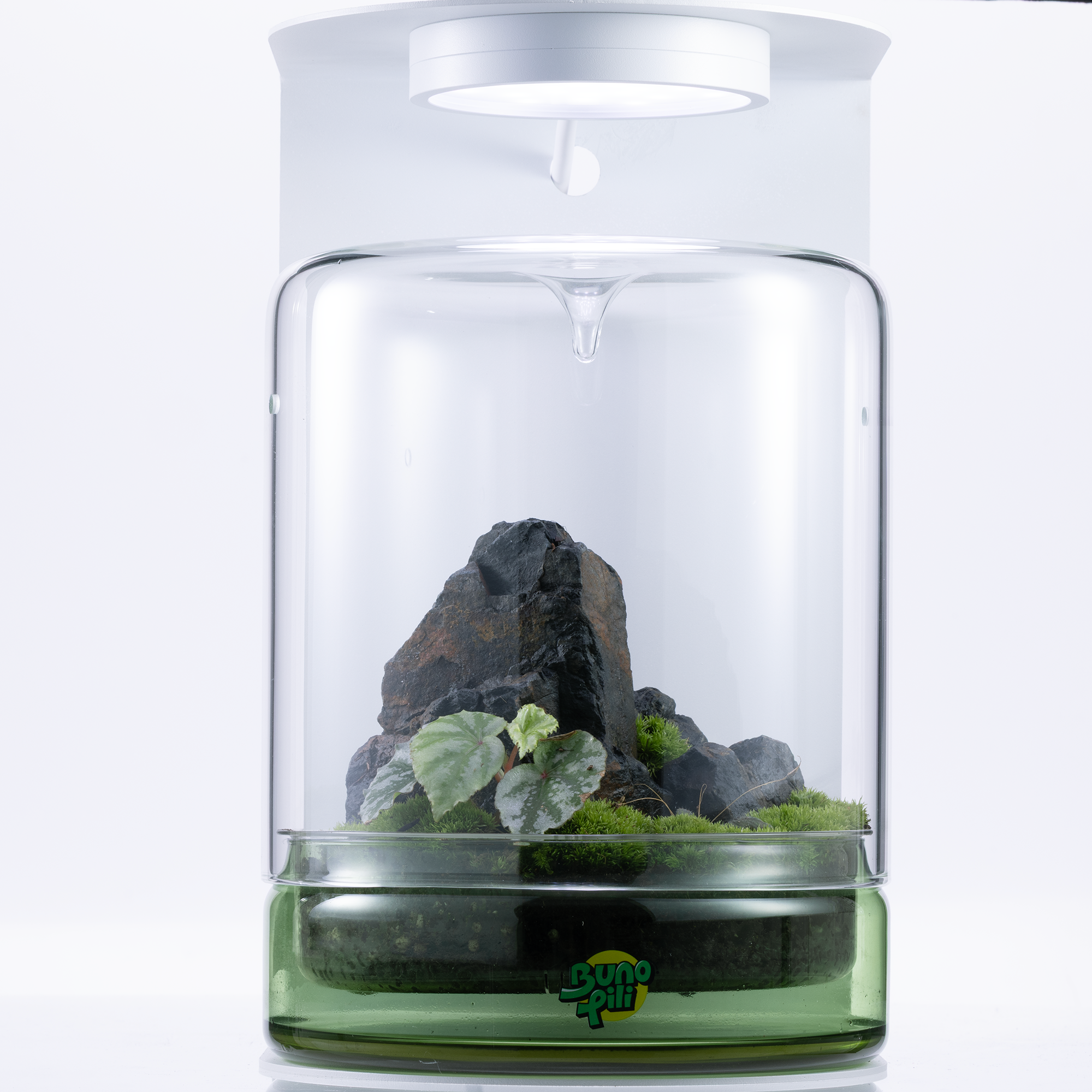 Bunopili Forest Capsule A minimal terrarium jar with smart lighting system – Magnetic Light Terrarium Kit