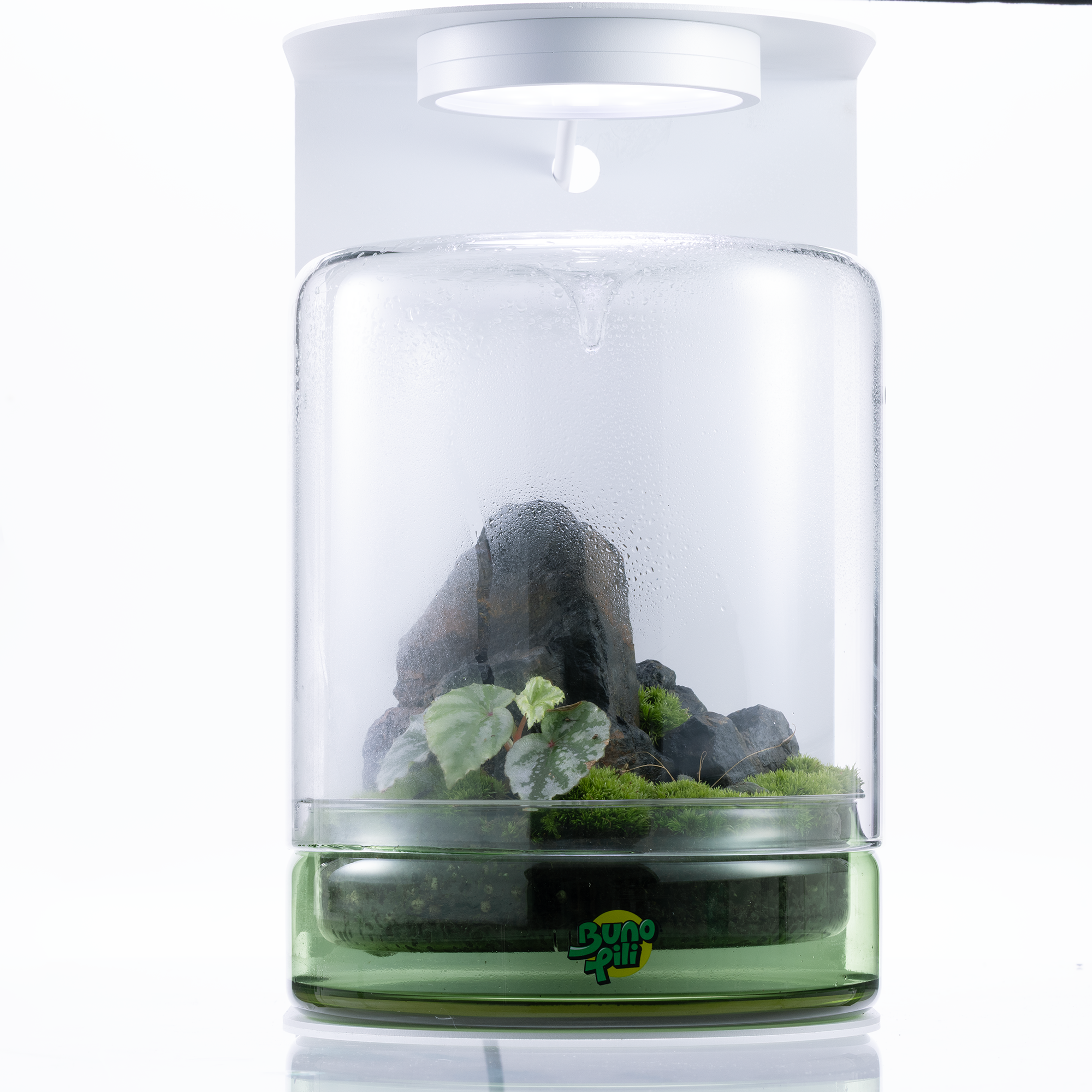 Bunopili Forest Capsule A minimal terrarium jar with smart lighting system – Magnetic Light Terrarium Kit