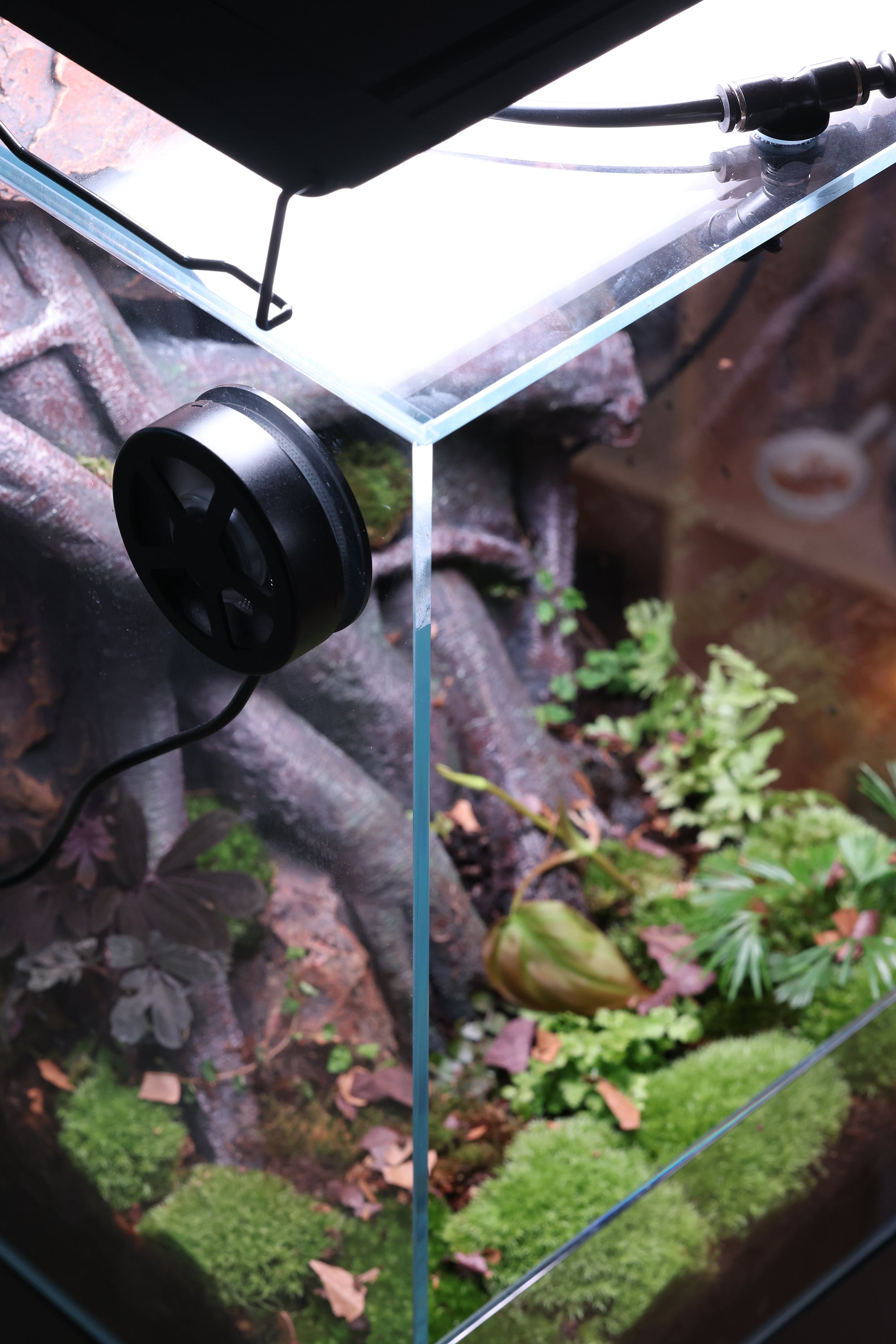 Bunopili Habitat The World’s First All-in-One Smart Rainforest System