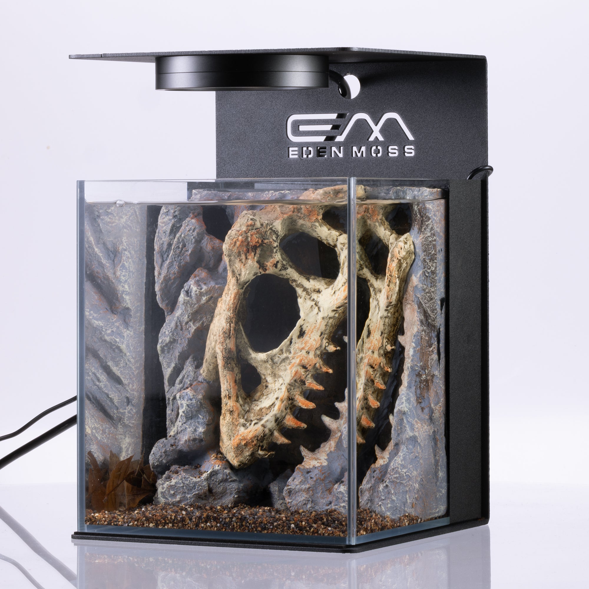 Bunopili Nano Habita - Dinosaur Fossil