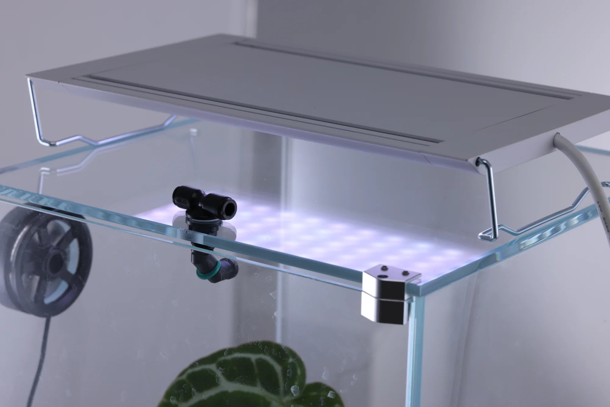 Nano Rainforest