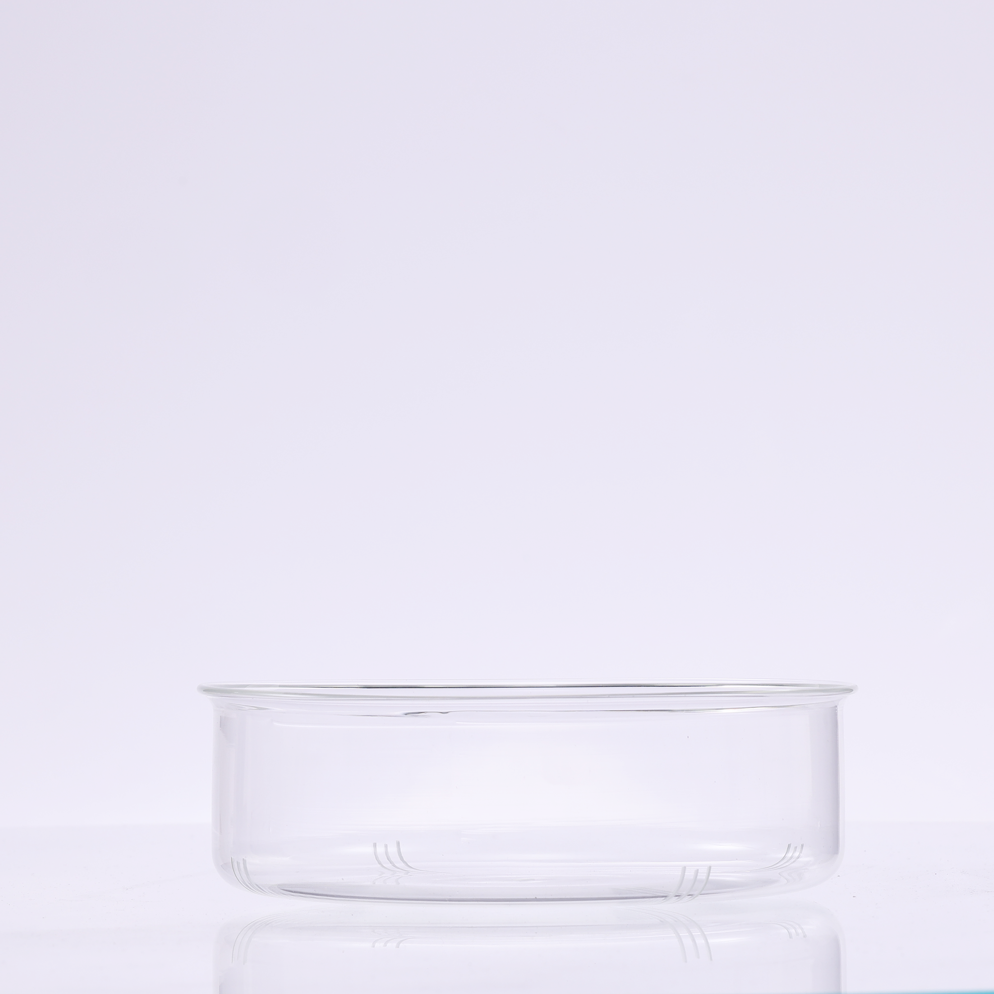 Bunopili Forest Capsule A minimal terrarium jar with smart lighting system – Magnetic Light Terrarium Kit