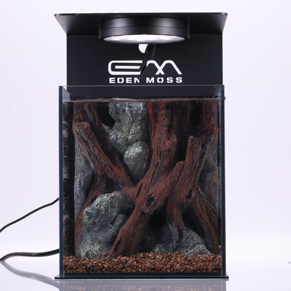 Bunopili Nano Habita - Forest Root Theme Desktop Aquarium Kit