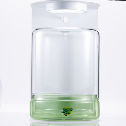 Bunopili Forest Capsule A minimal terrarium jar with smart lighting system – Magnetic Light Terrarium Kit