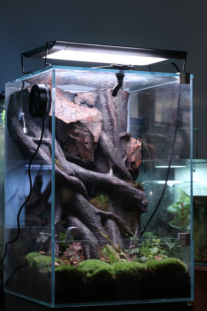 Bunopili Habitat The World’s First All-in-One Smart Rainforest System