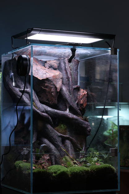 Bunopili Habitat The World’s First All-in-One Smart Rainforest System