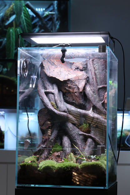 Bunopili Habitat The World’s First All-in-One Smart Rainforest System