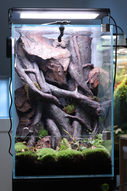 Bunopili Habitat The World’s First All-in-One Smart Rainforest System