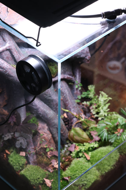 Bunopili Habitat The World’s First All-in-One Smart Rainforest System