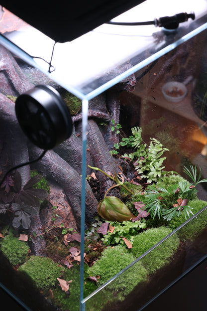 Bunopili Habitat The World’s First All-in-One Smart Rainforest System